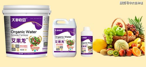 怎么促進果子膨大轉(zhuǎn)色,搞清關(guān)鍵原理才好對應(yīng)下肥 大豐收艾果龍