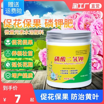 當(dāng)前網(wǎng)購(gòu)流行產(chǎn)品