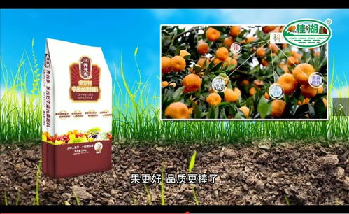 養(yǎng)元多肥料創(chuàng)造營,新品c位出道