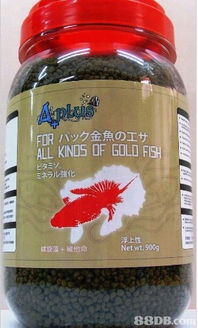 2019年香港飼料價格與商戶聯(lián)絡(luò)資訊指南