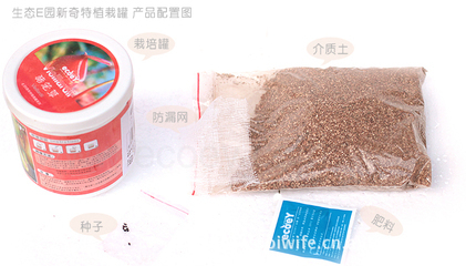 創(chuàng)意禮品 新奇特植栽罐的魅力與市場(chǎng)前景