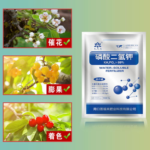 正品葉面肥 通用型花卉肥料，促花促果，家用大包裝包郵首選