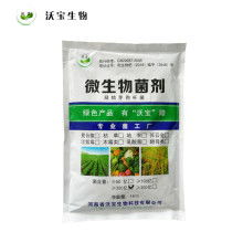 2021年微生物肥料市場(chǎng)行情深度解析 價(jià)格、報(bào)價(jià)與批發(fā)渠道探秘